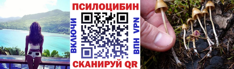 Купить закладки  Анива  Галлюциногенные грибы ЛСД 